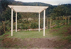 Pergola