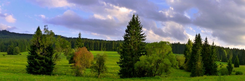 Tesařské práce
